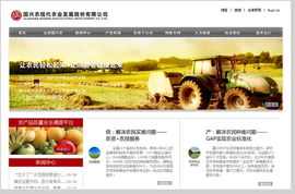 上海樂思設計 探索軟件在網頁設計中的創新應用